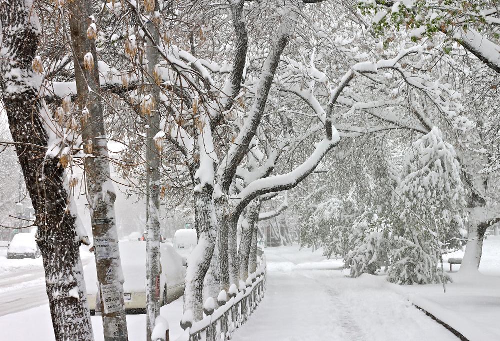 snow yerevan, armenia