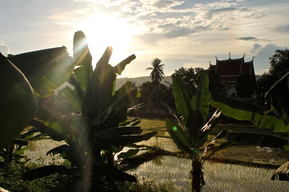 sunset mekong thailand backpacking travel