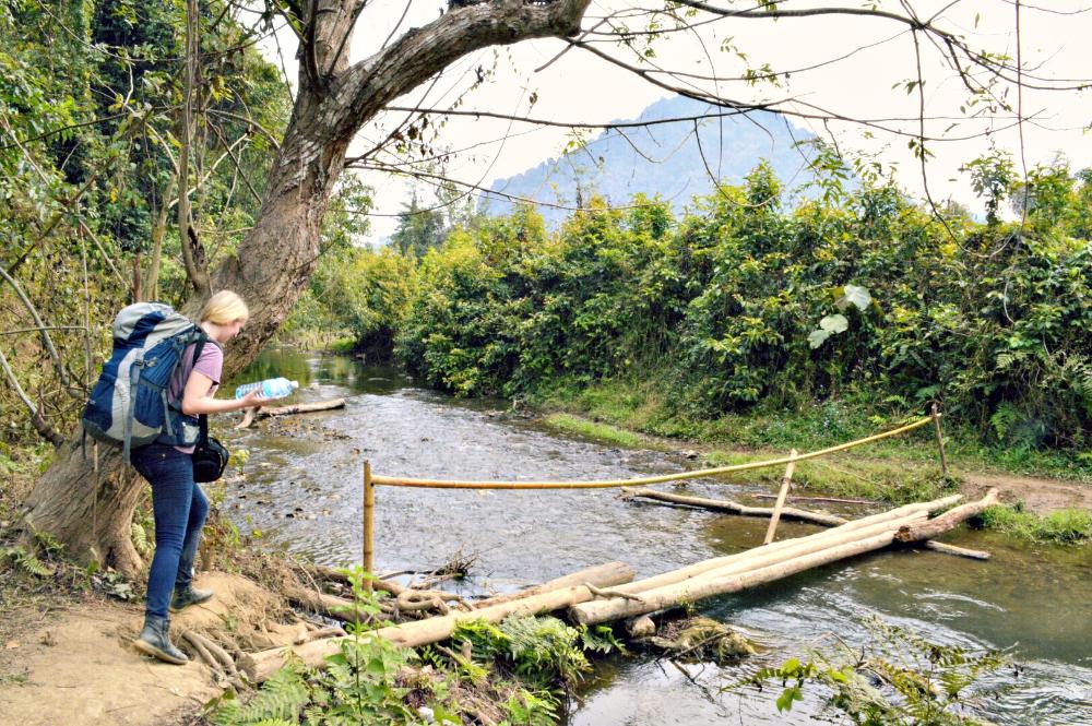 log bridge laos
