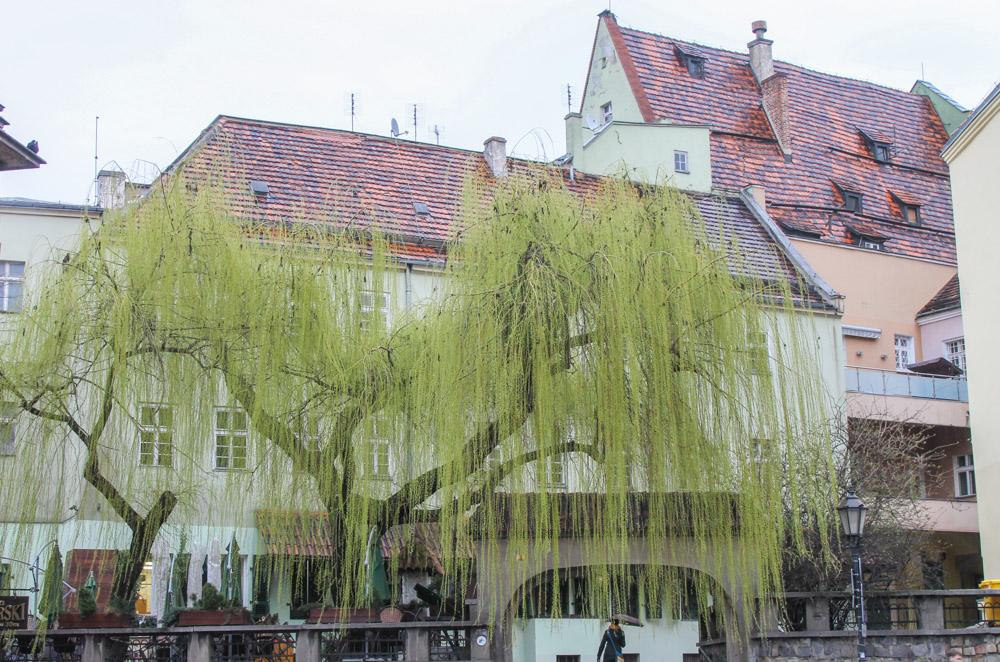 Wroclaw, Poland