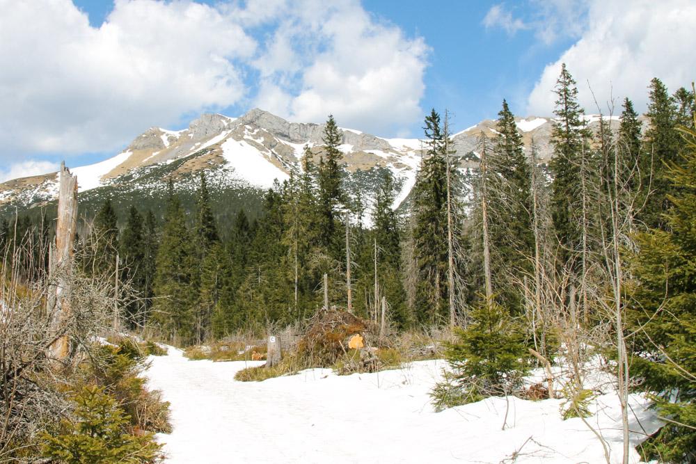 High Tatras, Slovakia