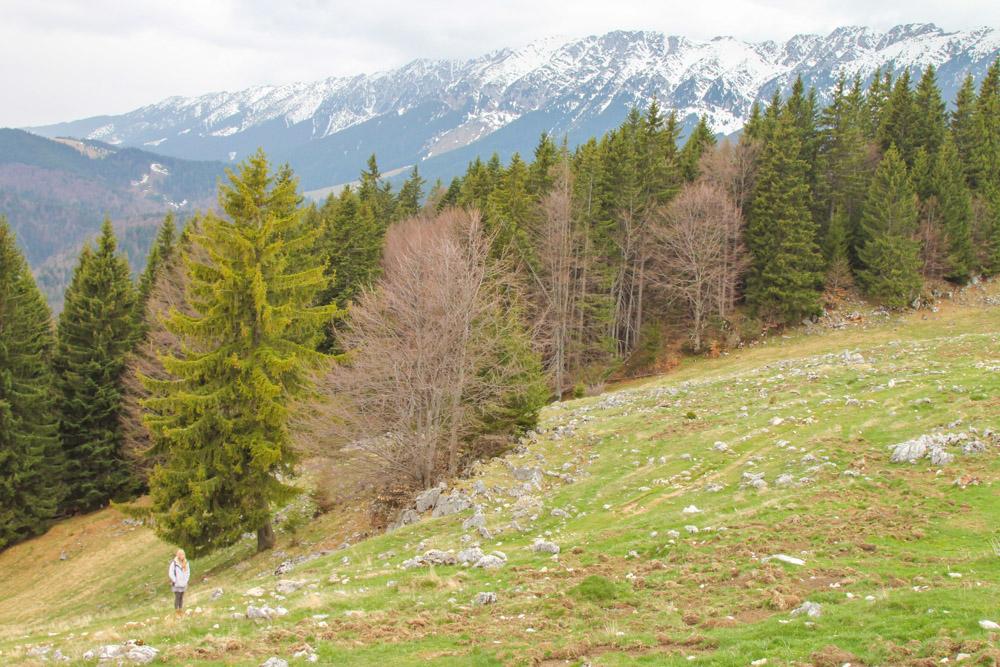 Piatra Craiului Park Romania