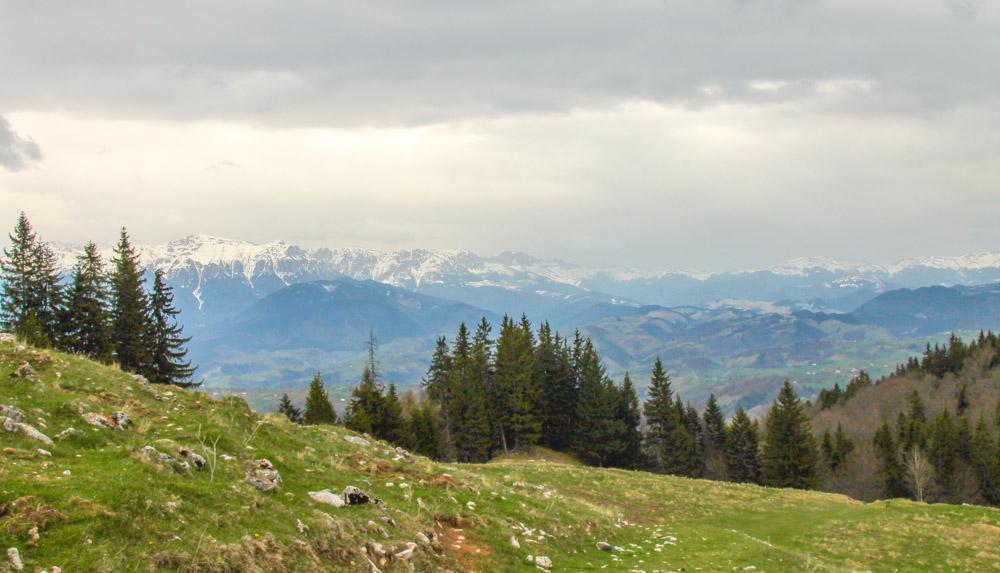 piatra craiului national park
