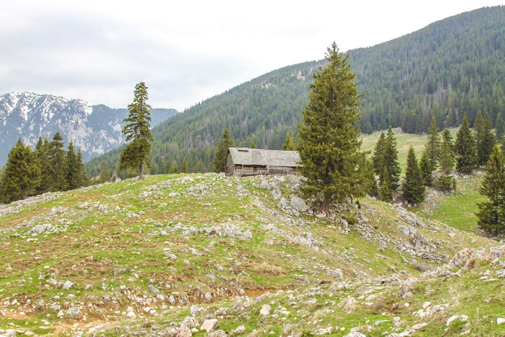 piatra craiului national park