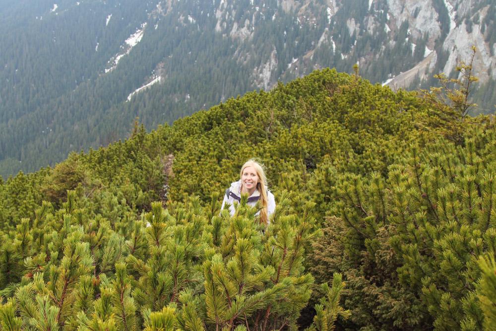 Piatra Craiului Mountains Romania