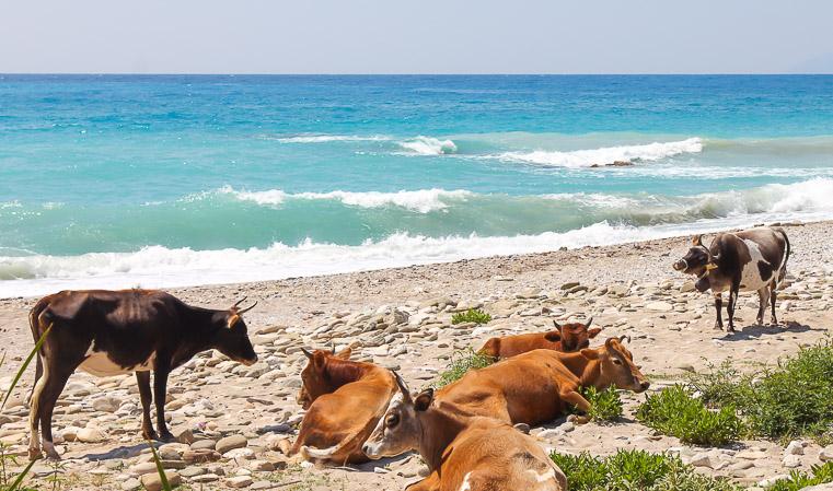beaches Albanian Riviera