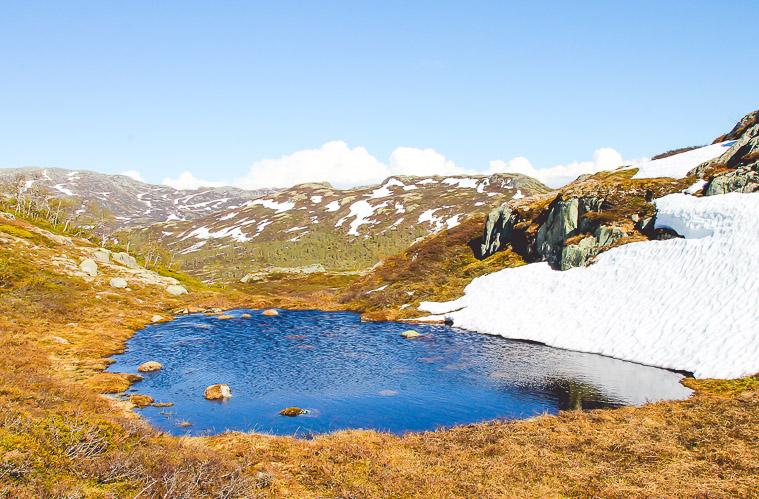 Hardangervidda Norway