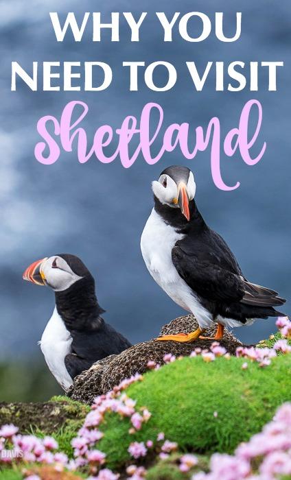 Travel to Shetland Islands Scotland