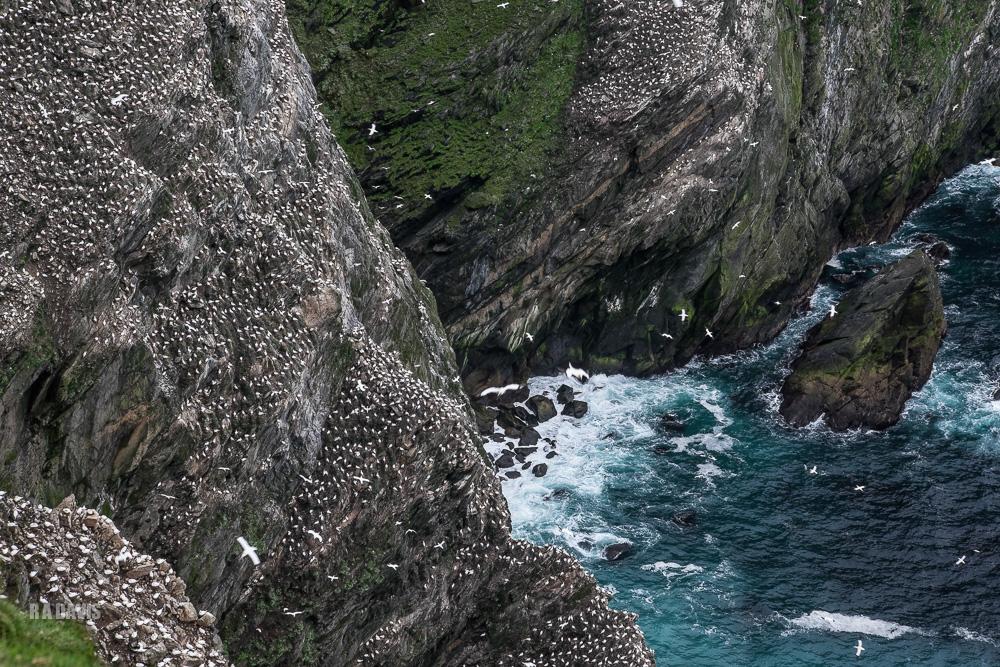 visit Shetland
