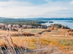 telemark norway in autumn frost colors