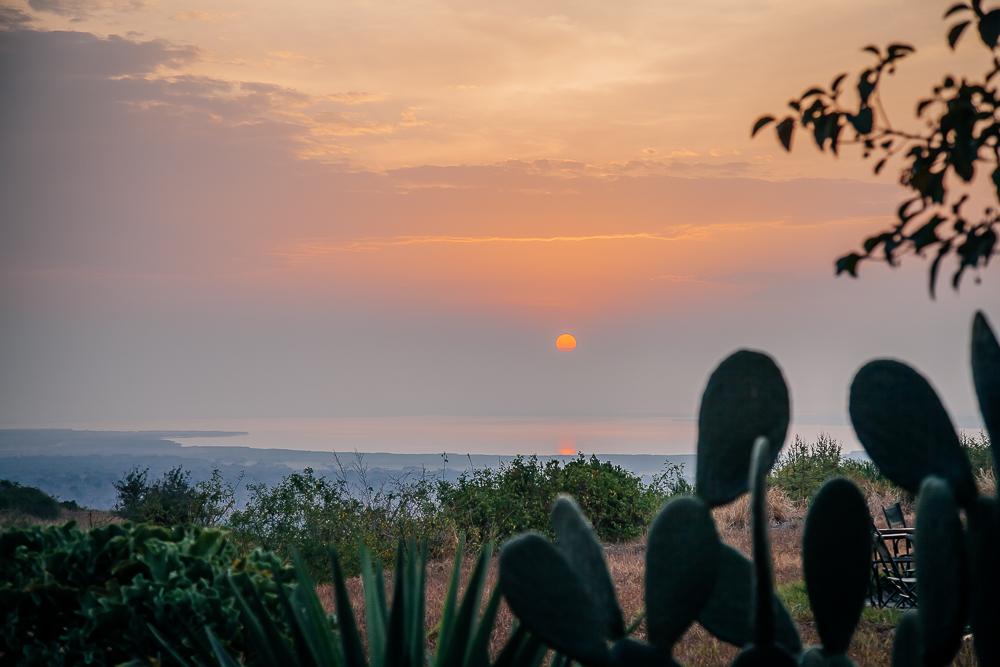 marafiki safari lodge queen elizabeth uganda