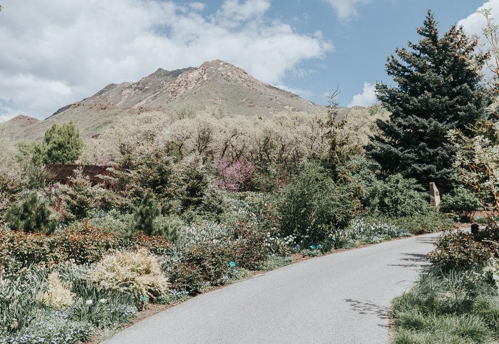 red butte garden salt lake city