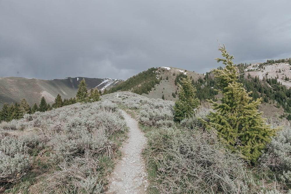 Proctor Mountain loop hikes Ketchum idaho