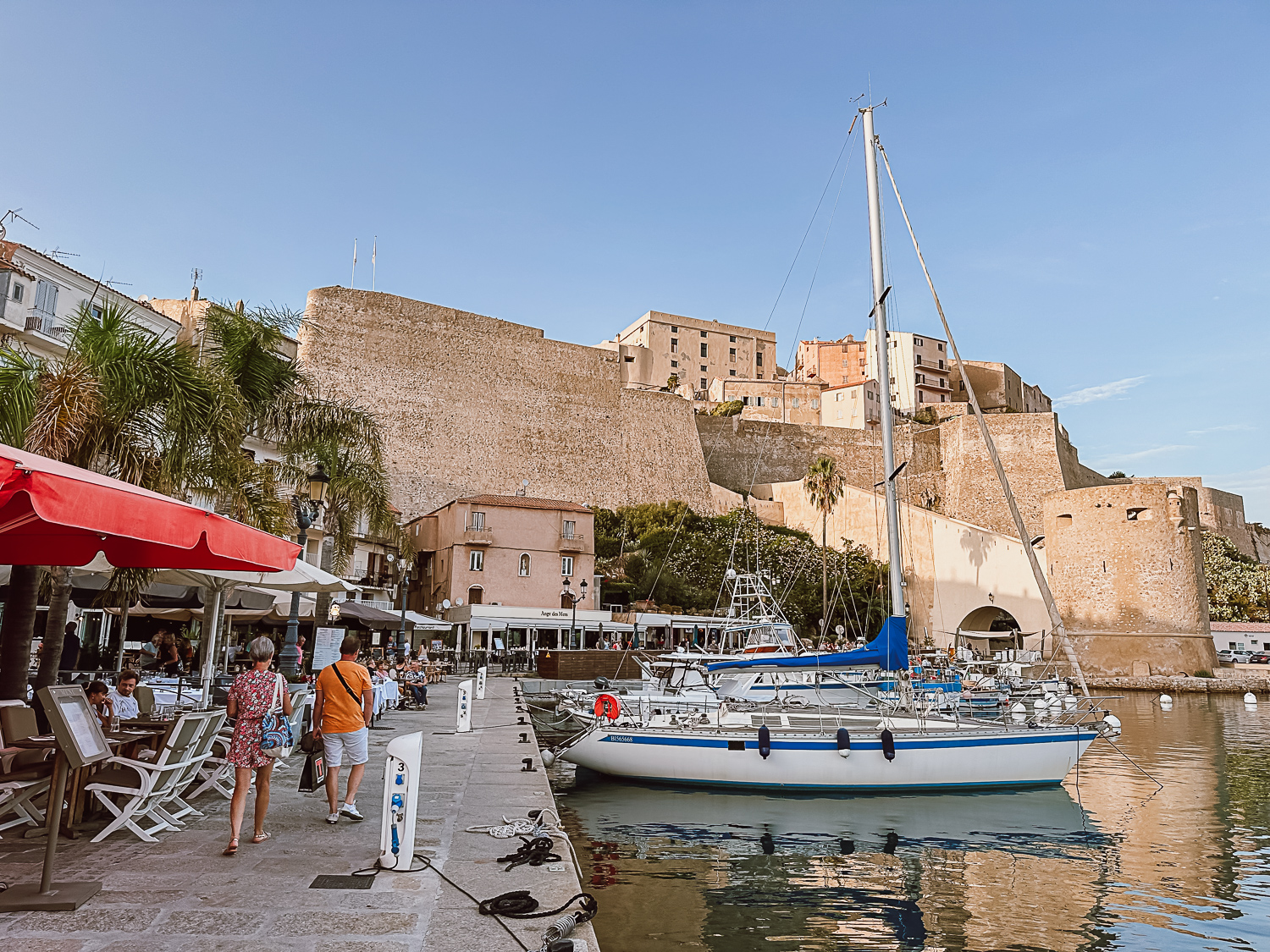 Calvi harbor