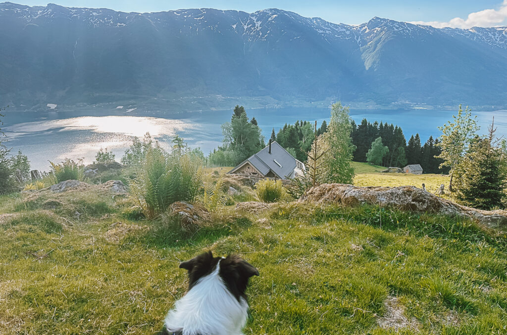 hardangerfjord norway