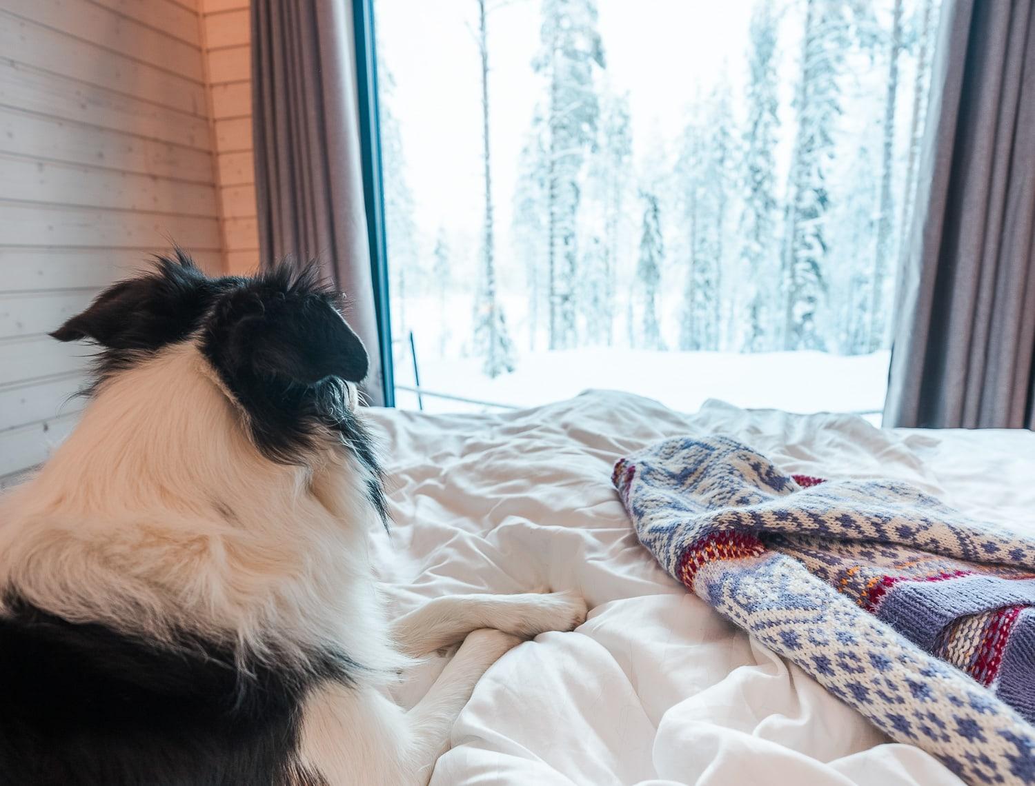 Hossa cabin view FInland