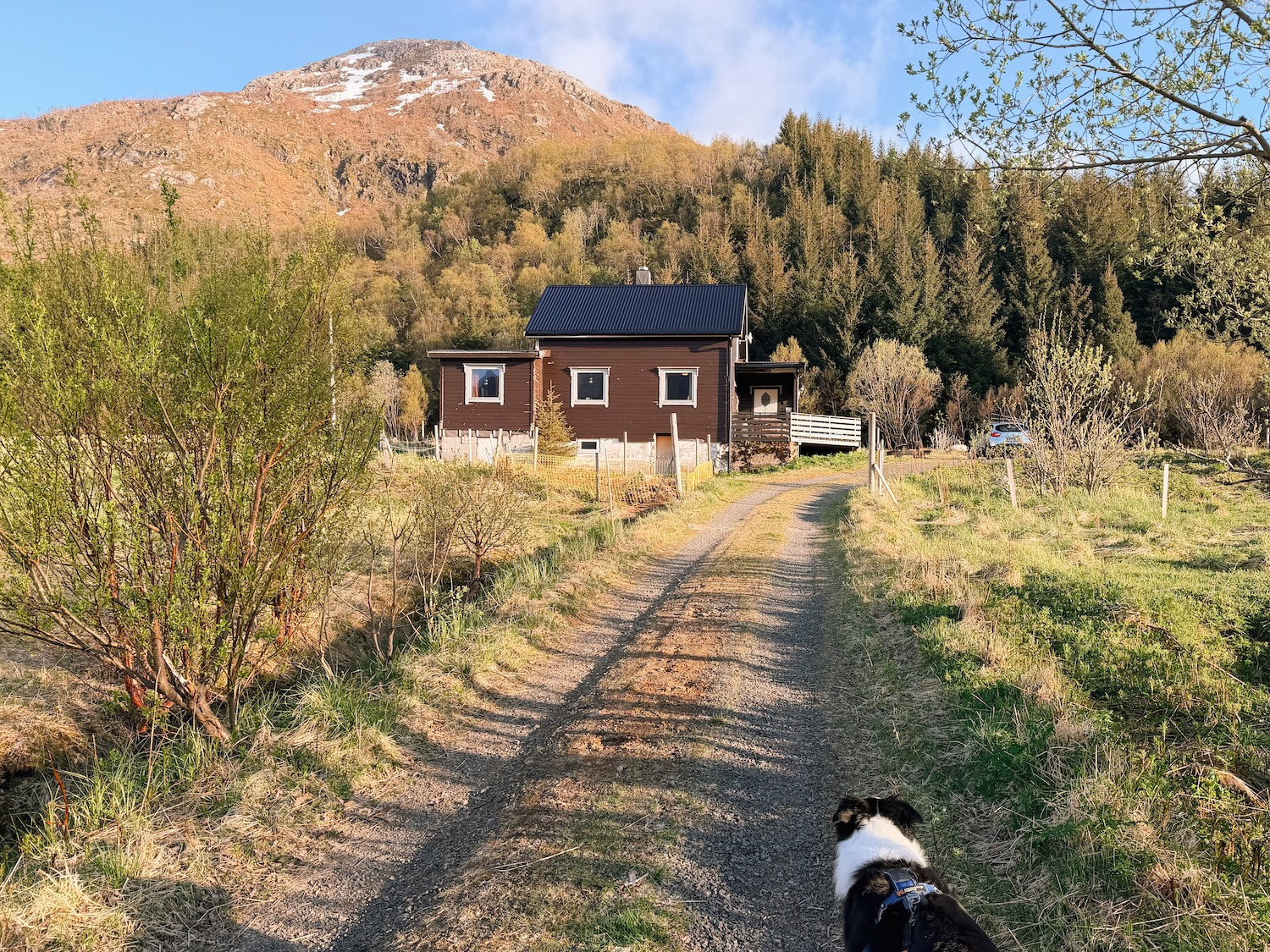 Olderfjord house in Lofoten in May