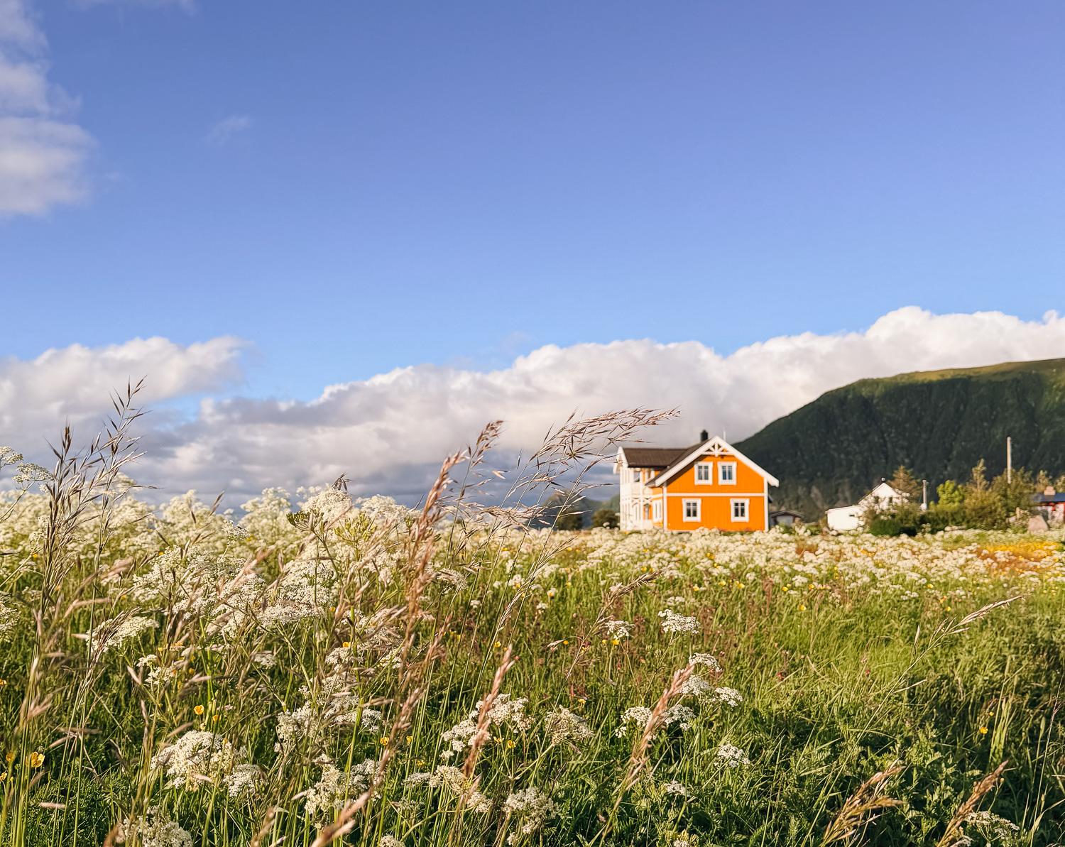 yellow cabin in Laukvik, Norway